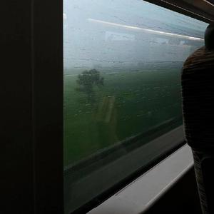 回老家日母原著全文阅读
