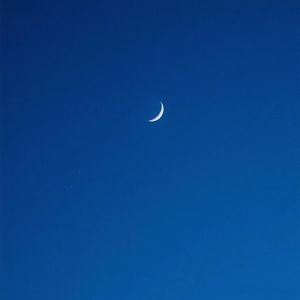 回老家日母原著全文阅读
